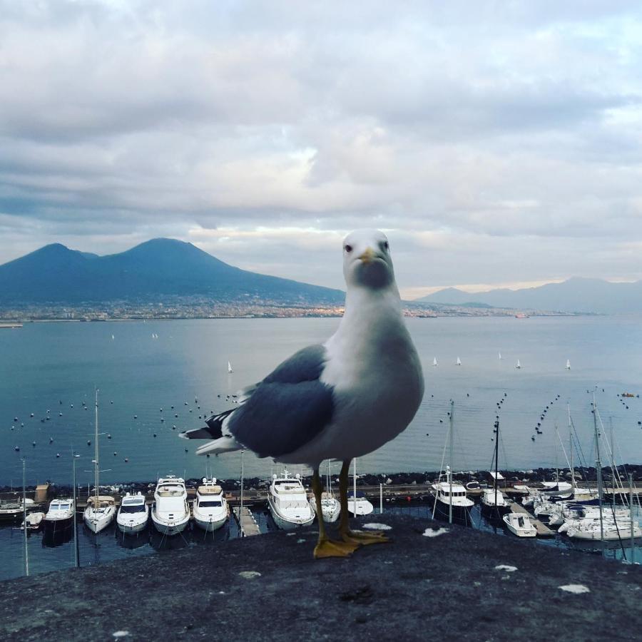 Il Centro